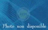 immobilier guadeloupe