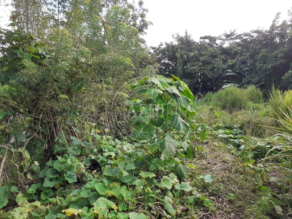 Terrainde 1,900.00 Martinique