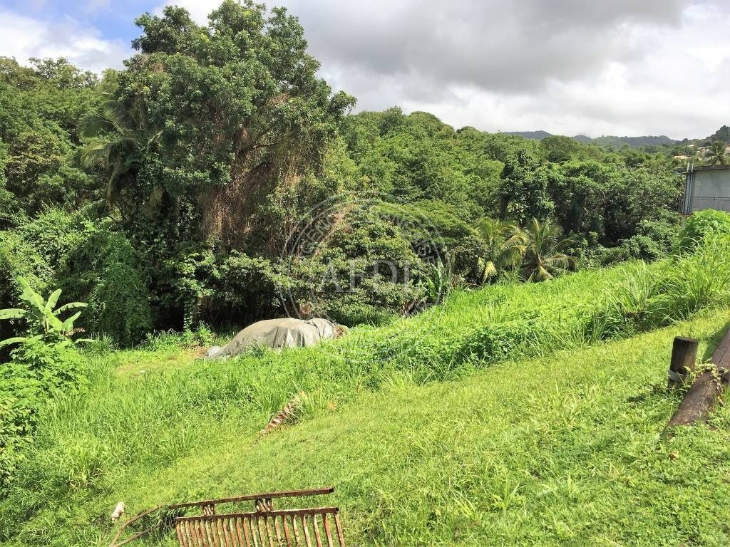 Terrainde 2,102.00 Martinique